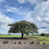 Baluran National Park