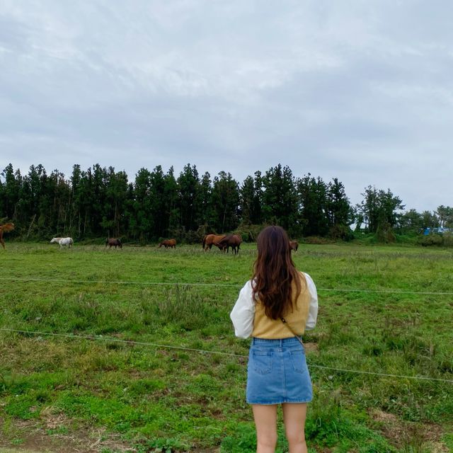 셀프스냅 찍기 좋은 성이시돌목장🐄