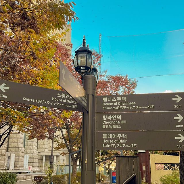 이국적인 단풍 뷰를 구경할 수 있는 대구 여행지 🍁