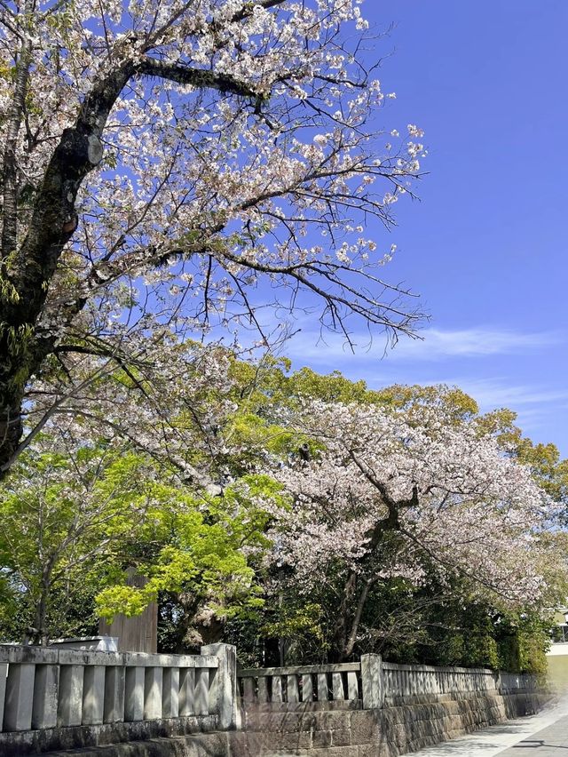 【静岡】伊豆随一のパワースポット　三嶋大社