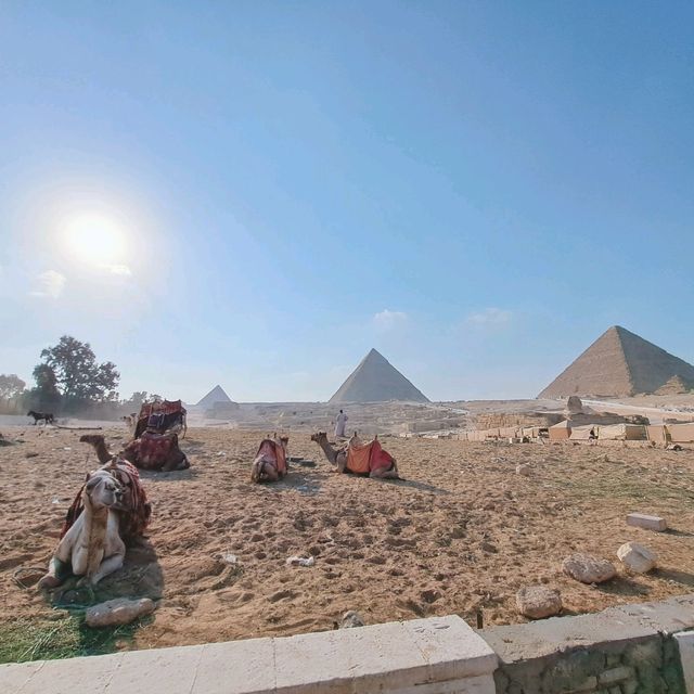 世界七大奇景｜偉大的古文明埃及金字塔群與人面獅身像🇪🇬