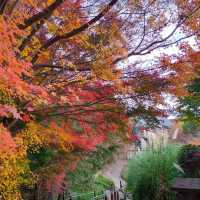 インスタ映えの紅葉スポット