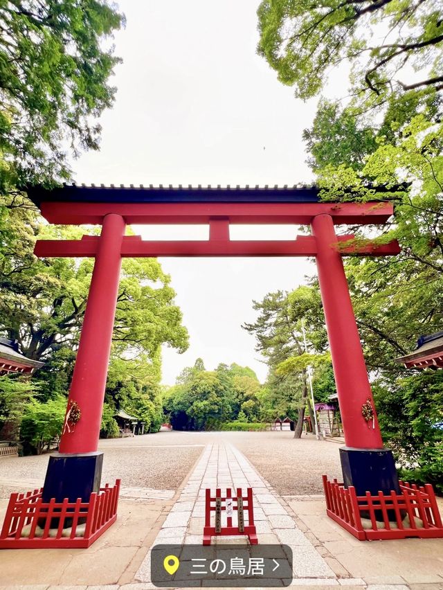 【埼玉】武蔵一宮氷川神社⛩