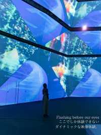 【東京都/虎ノ門】時が溶ける！？この冬最もアツイ展示会