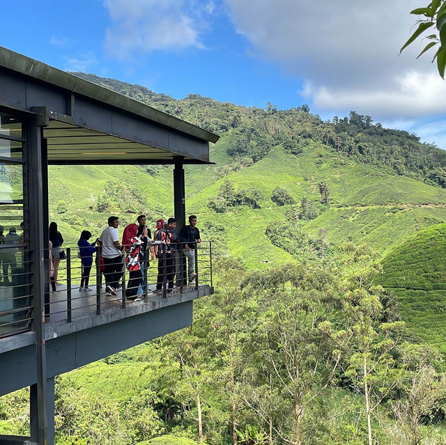 BOH Tea Centre Sungai Palas, Cameron Highland