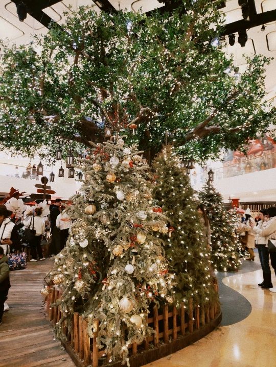 🎄太古廣場🎄奇幻森林
