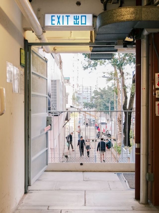 香港 ｜ 探訪石硤尾街區裡的 小眾藝術村～