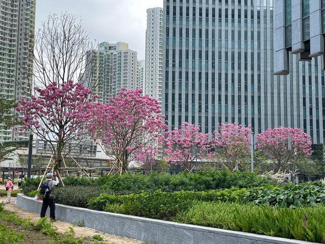 坐港鐵遊香港．啟德站．AIRSIDE．必遊海洋美術館