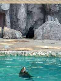 เที่ยวกรุงเทพ One Day Trip สวนสัตว์ ซาฟารีเวิลด์ 