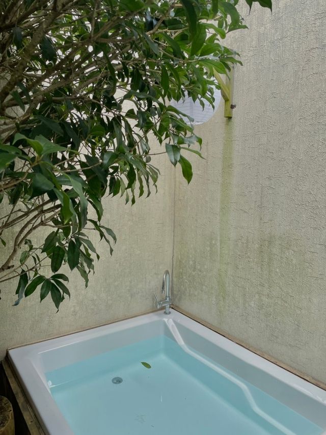 제주 동쪽 10만원대 숙소 셀러리 제주🌱