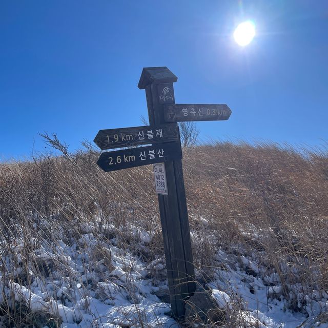 영남알프스 8봉 신불산 영축산 최단코스, 눈 산행