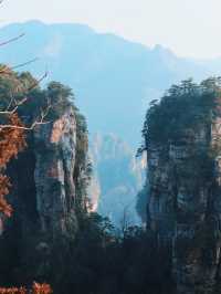 The Avatar Mountains - Zhangjiajie🌲🏔️