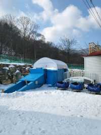 겨울여행지로 여기 안가면 섭섭해❄️
