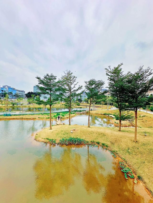 蠔鄉湖公園：深圳的都市綠洲與休閒天堂🌿