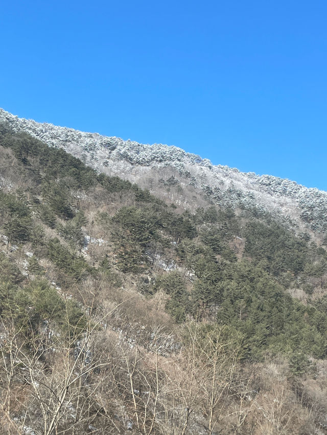 겨울 설산뷰가 아름다운 곳 “파크로쉬”