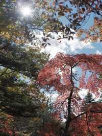 絕美賞楓勝地：雲場池