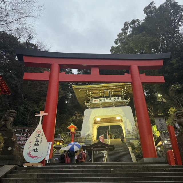 【江島神社】日本旅行2024，江之島必遊景點