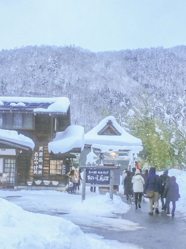 ฟินสุดๆ กับหมู่บ้าน Shirakawa-go ในวันที่หิมะฟู