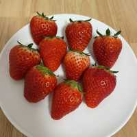 Strawberries in Utsunomiya