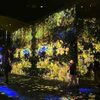 Immerse in teamLab Borderless, Tokyo