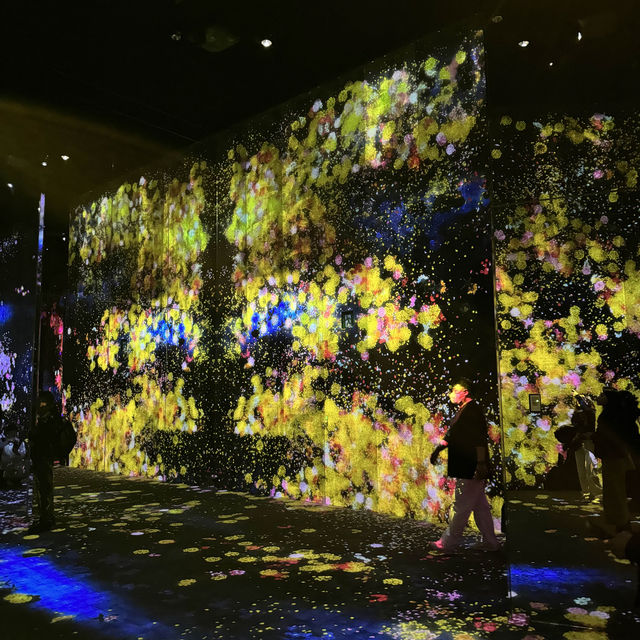 Immerse in teamLab Borderless, Tokyo