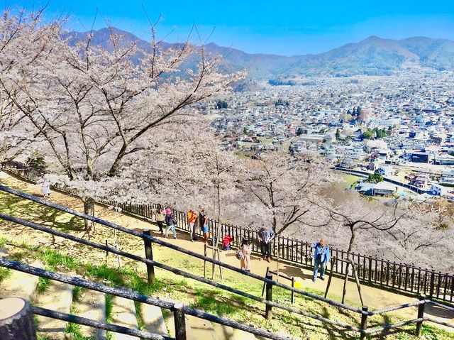 Arakurayama Sengen Park 