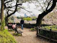 Chidorgafuchi Moat