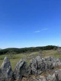제주의 가을 억새명소🏞️ 산굼부리