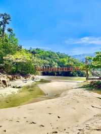 Penang National Park 