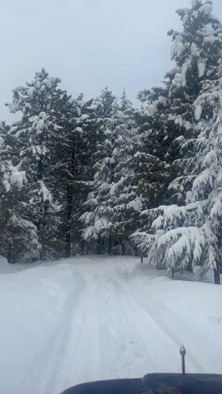Snow wonderland 