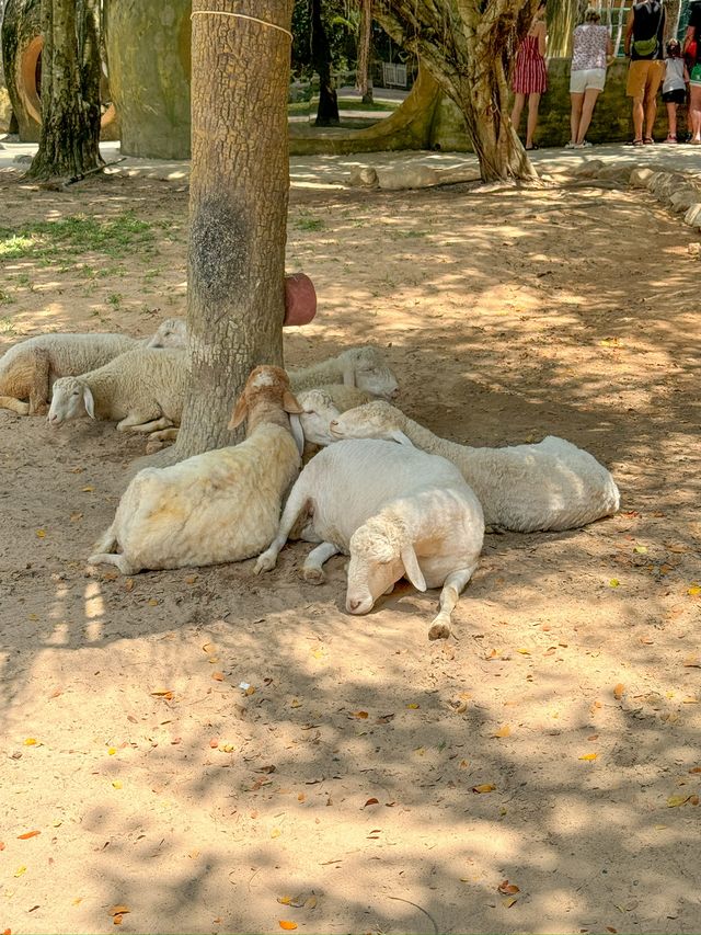越南富國島親子景點｜珍珠野生動物園 Vinpearl Safari Phu Quoc 