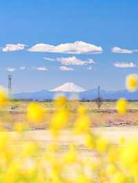 【栃木】栃木から見る絶景スポット