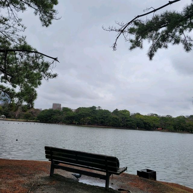 후쿠오카 필수코스 오호리 공원