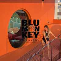 Blu Monkey สาขาใหม่ที่บางแสน กับวิวทะเลสุดปัง