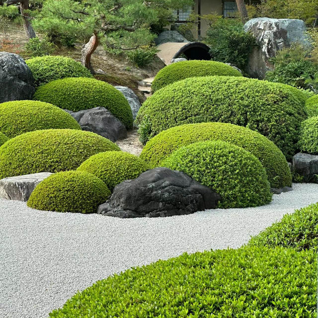 「銀河庭園：春天好去處」