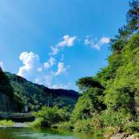 咖啡山森林保護公園：原生態環境、豐富生物、戶外活動，親近大自然