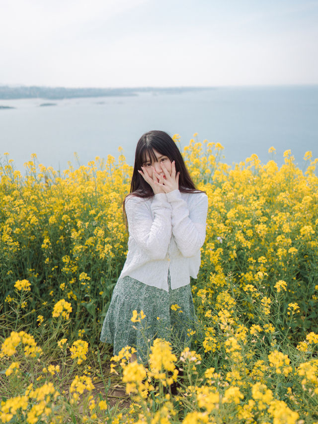 🇰🇷濟州島|必去景點「咸德海水浴場」果凍海配上油菜花！夢幻組合！