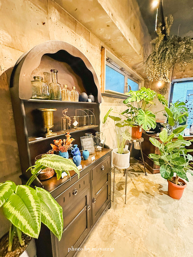 【東京】カフェ×観葉植物の大人カフェ