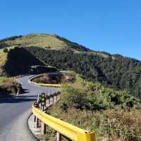 佘山國家森林公園：青翠山水畫捲