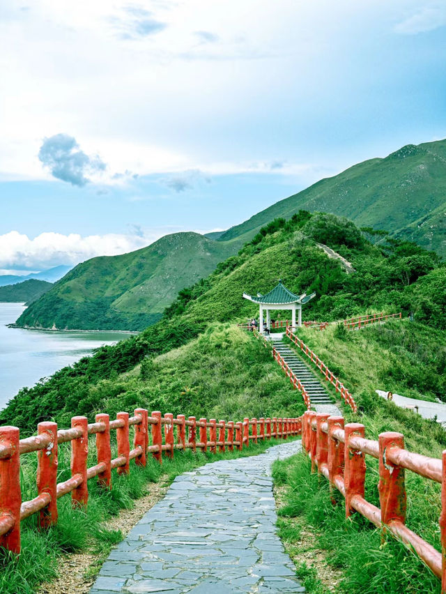 母親節特輯：粉色海豚與日落的約會 —— 虎山觀景台