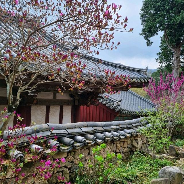 Spiritual Seonamsa, scenic serenity in Suncheon