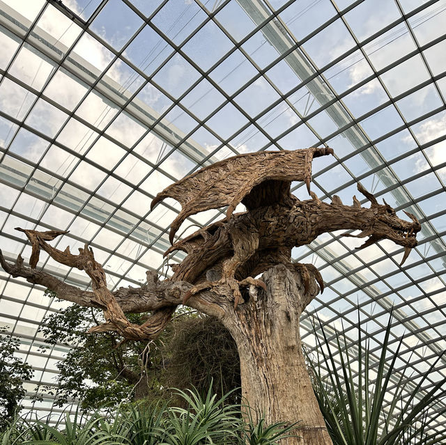 景點-新加坡🇸🇬三大植物園［濱海灣花園雲霧林、花穹、胡姬花園］