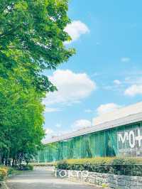 【東京/清澄白河】日本最大級約28万点美術専門図書室📚公園の中にある美術館