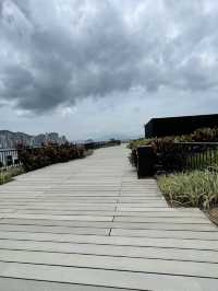 🌼🌸 春日寧靜楽園 🌸🌼 M+空中花園：春日散步好去處！