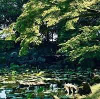岡山後楽園