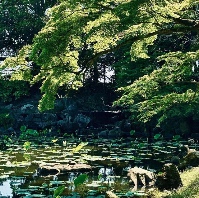 岡山後楽園