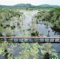 สวนพฤษศาสตร์ระยอง
