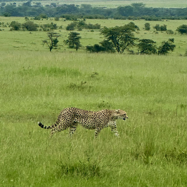Jw Marriott masai Mara 