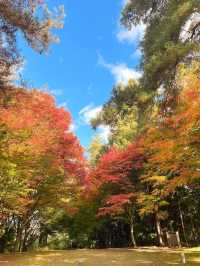 พิกัดเที่ยว Takayama 2 วัน 1 คืน และเมนูห้ามพลาด!!