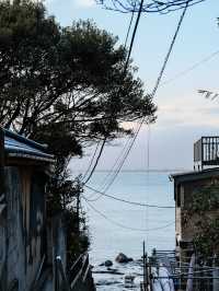 🇯🇵 鐮倉 一起在夏天去鐮倉看海吧🌊